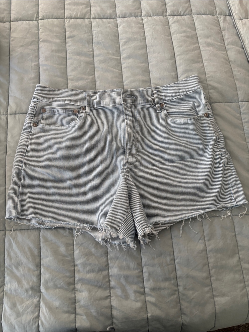 American Eagle Outfitters Light Blue Pinstripe Denim Shorts